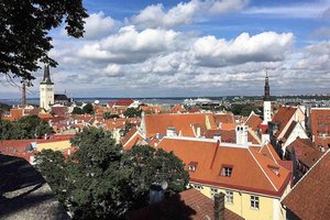 Blick über Dächer von Tallinn image-16355
