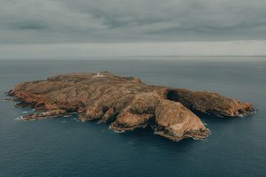 Die Insel Berlenga Grande image-16515